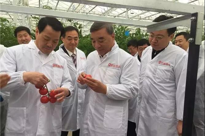 8040威尼斯(中国)有限公司官网