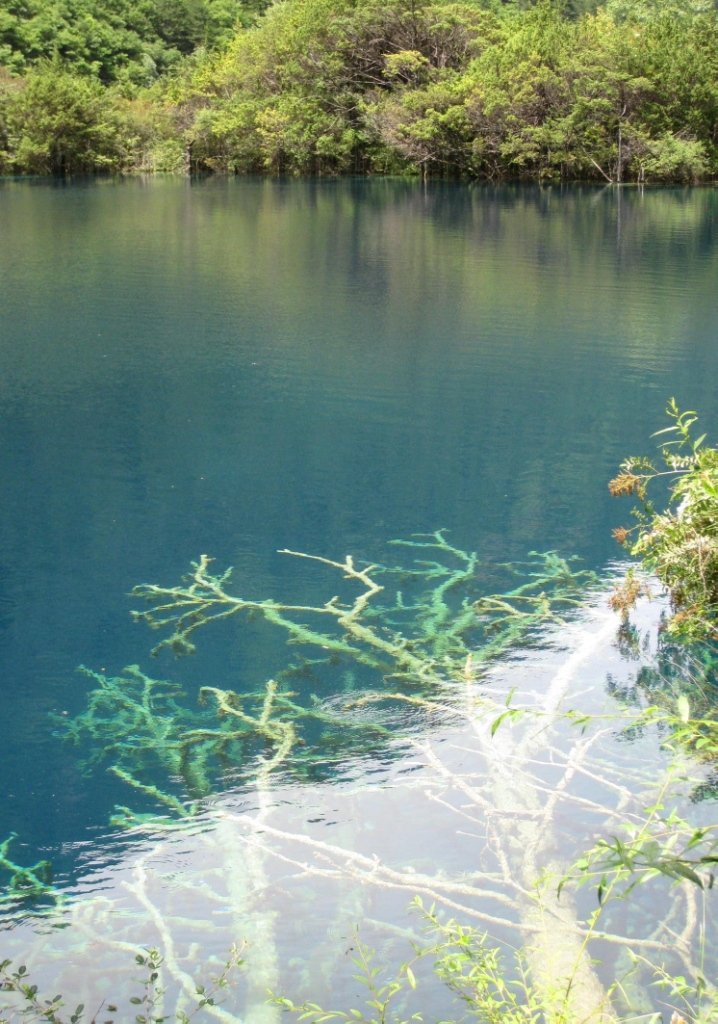 8040威尼斯(中国)有限公司官网