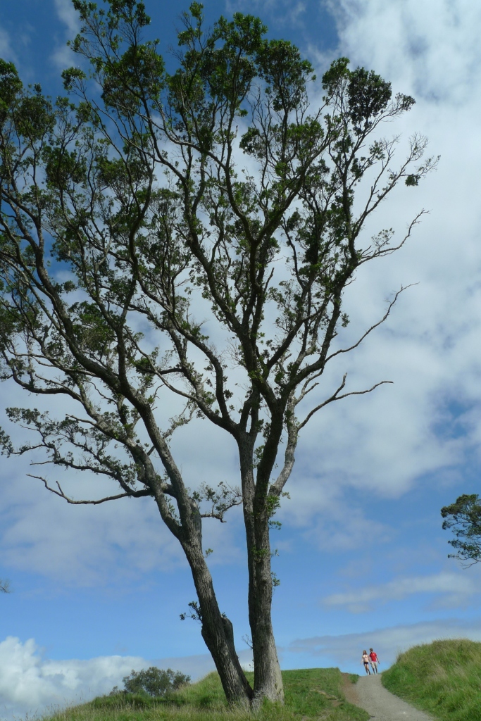 8040威尼斯(中国)有限公司官网