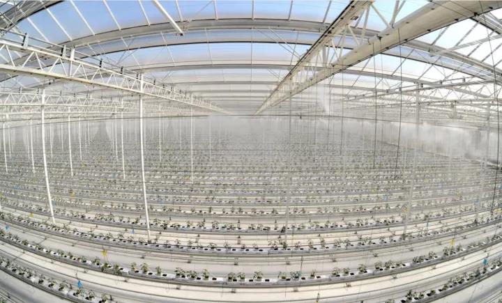 8040威尼斯(中国)有限公司官网