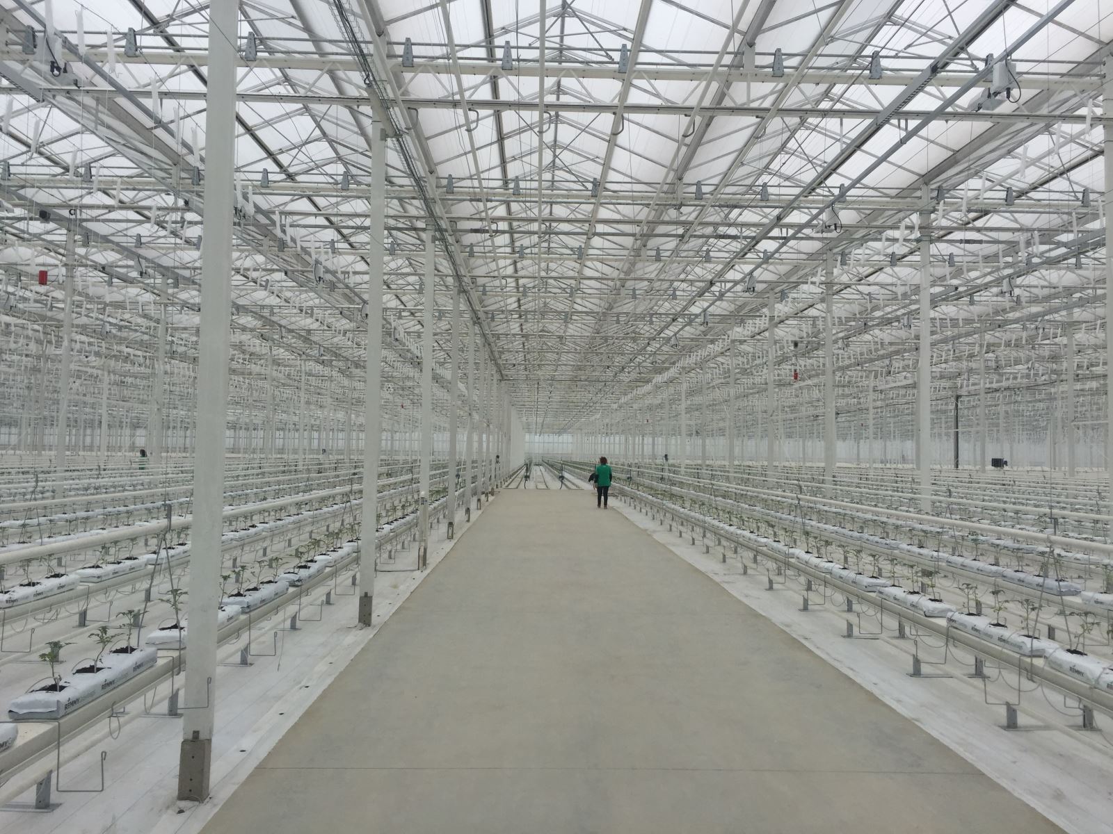 8040威尼斯(中国)有限公司官网