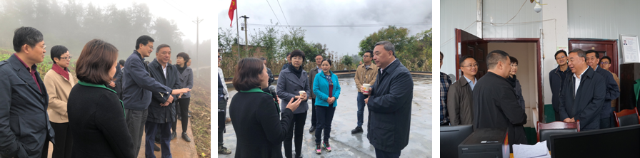 8040威尼斯(中国)有限公司官网