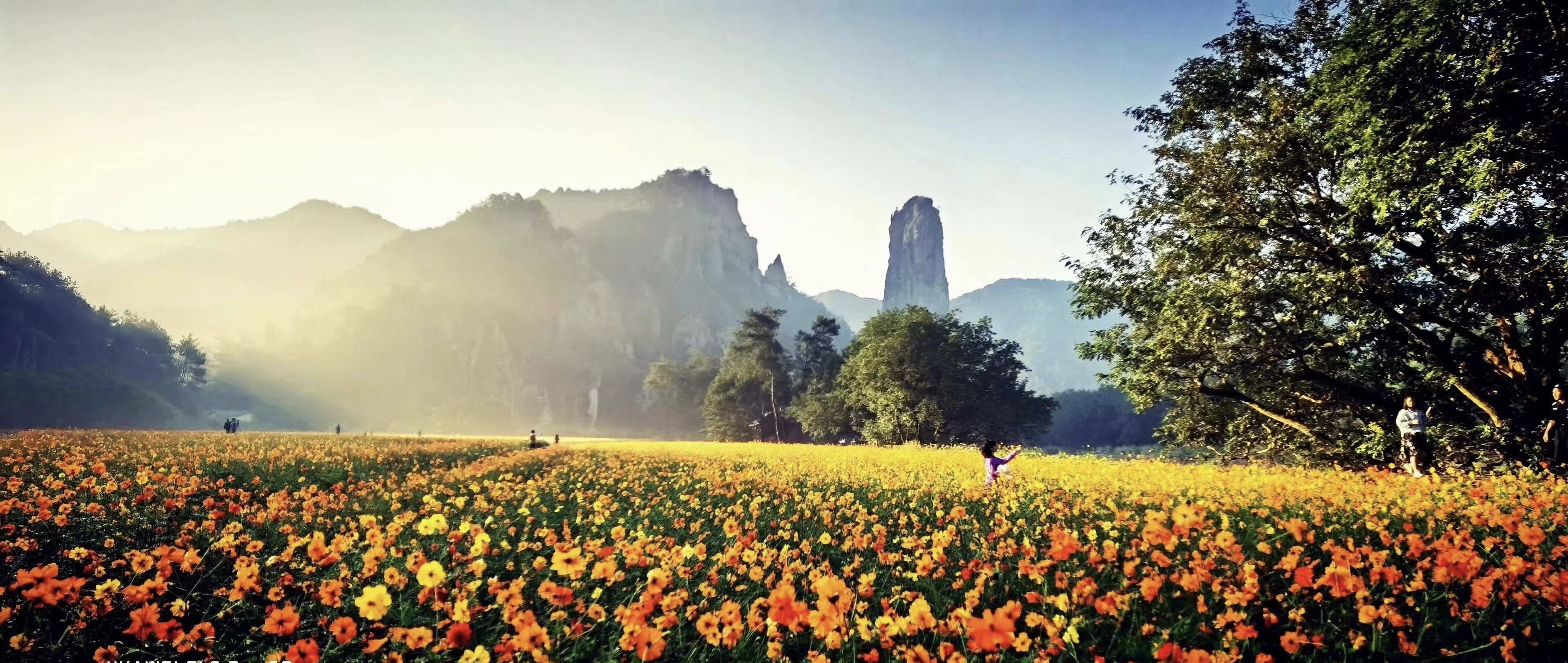 8040威尼斯(中国)有限公司官网