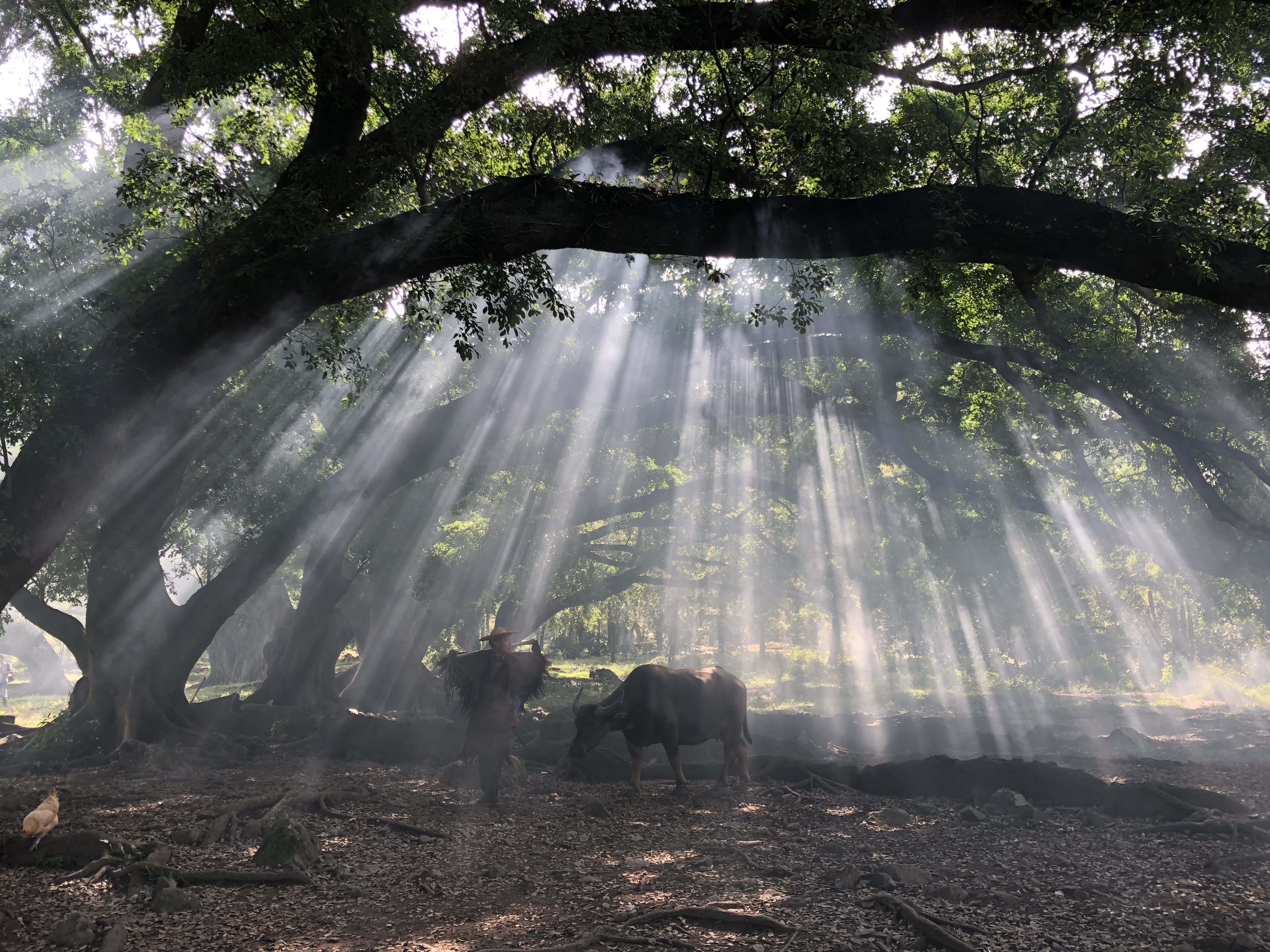 8040威尼斯(中国)有限公司官网